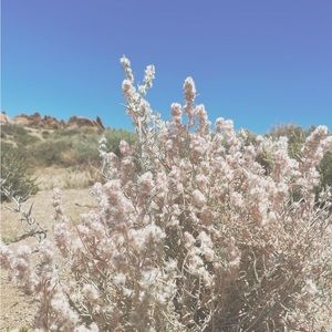 Make offers! I’m flexible as long as they’re reasonable and not a low ball ;)